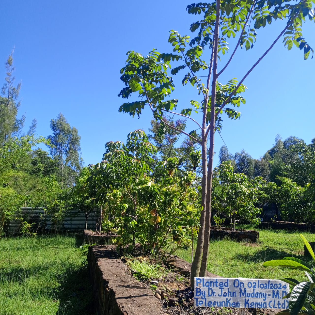 Eco-spa