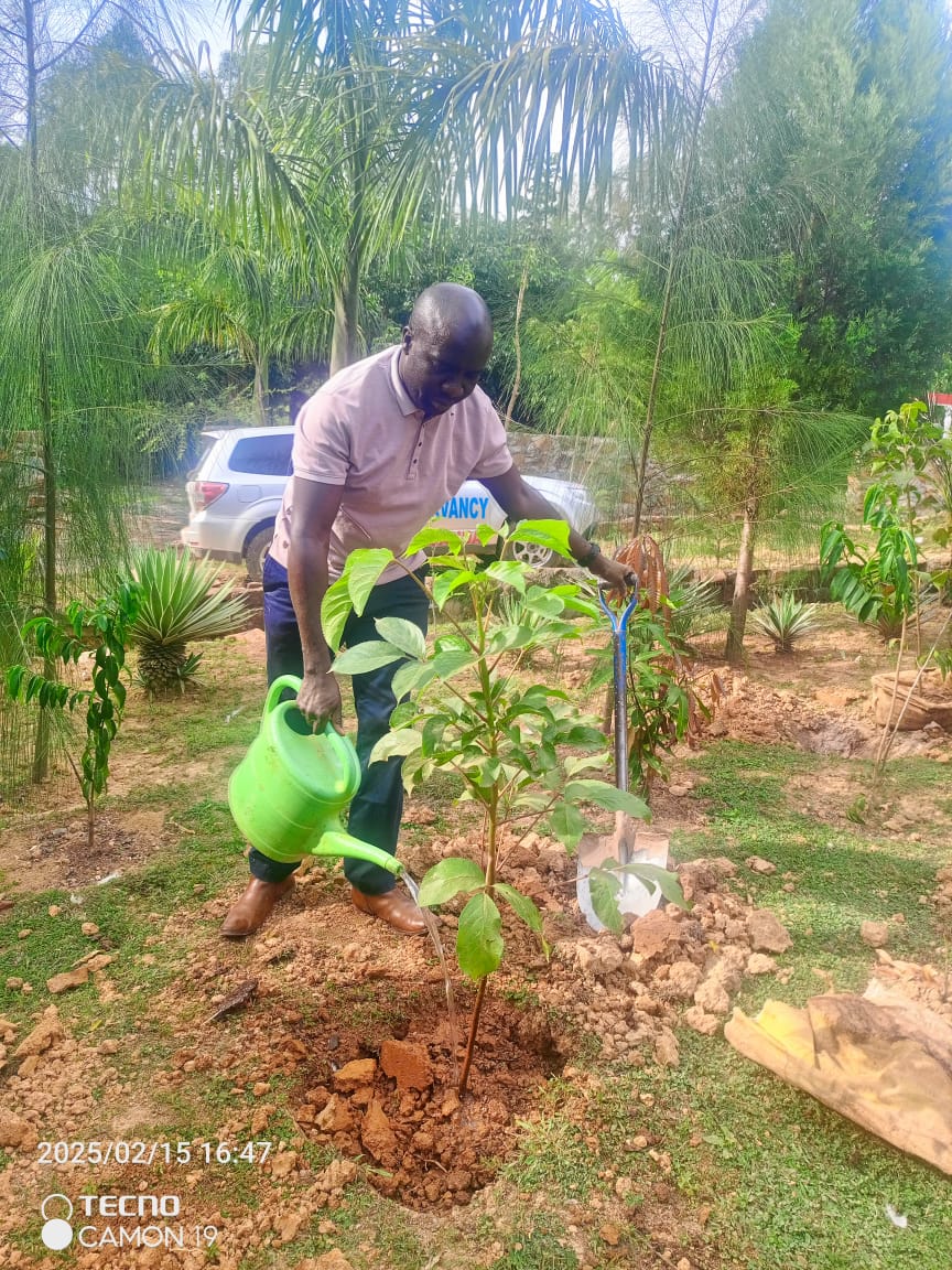 planting event