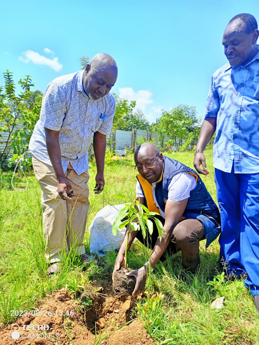 Community tree planting