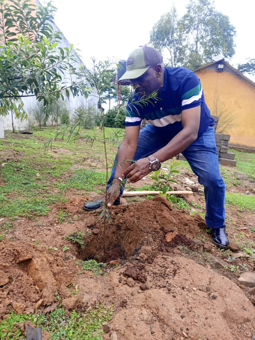 Volunteers planting trees near Ambururu Waterfall